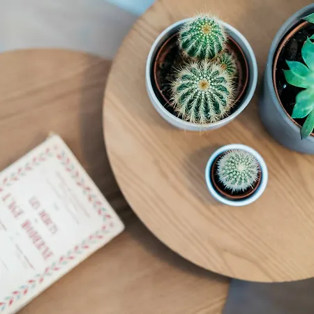 The Lisboans * 리스본