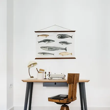 The Lisboans 리스본